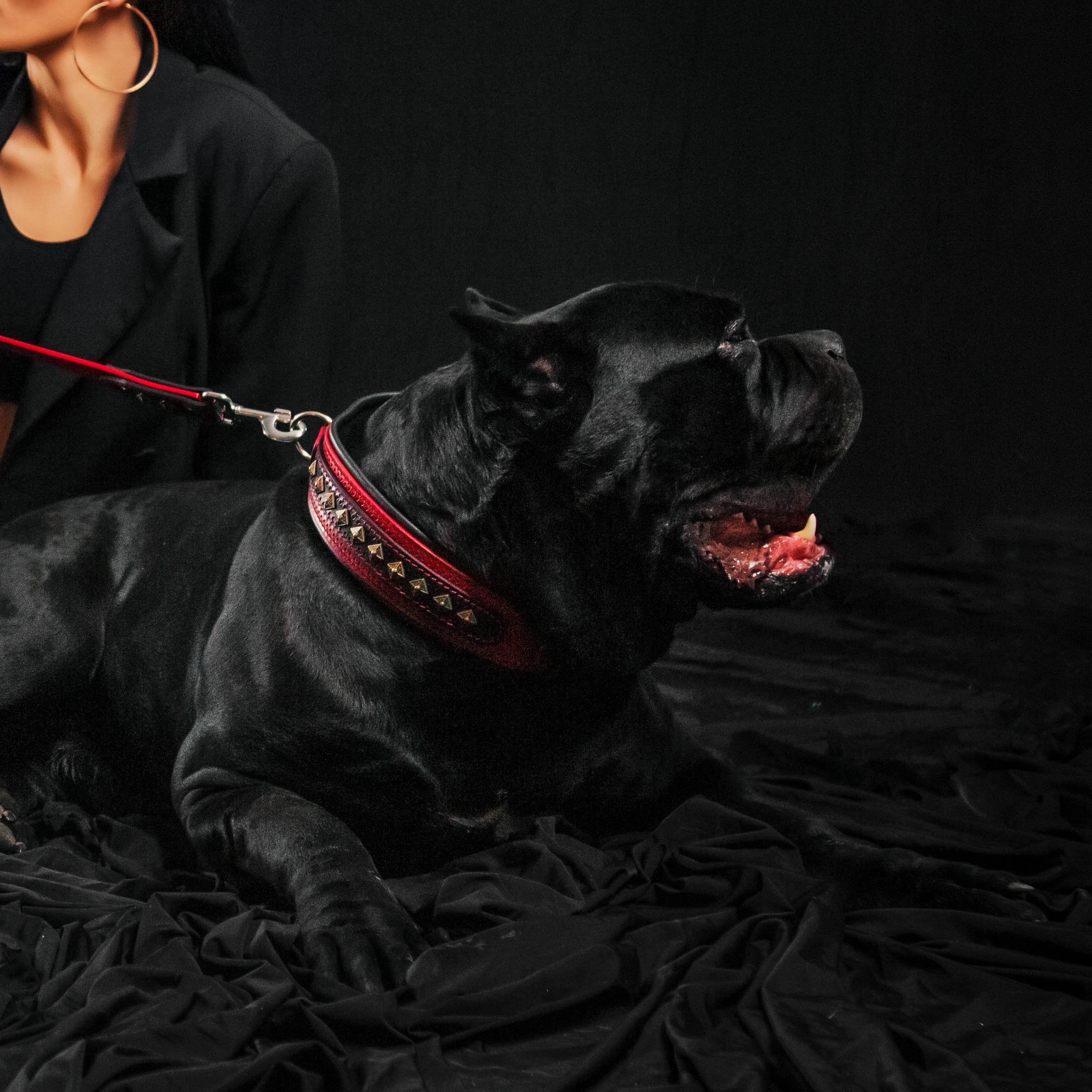 BALTEUS Red Leather Collar for Large & Powerful Dogs
