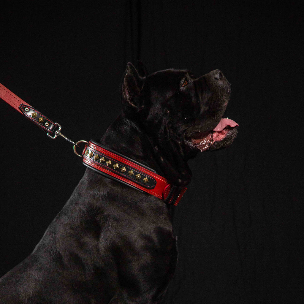 BALTEUS Red Leather Collar for Large & Powerful Dogs