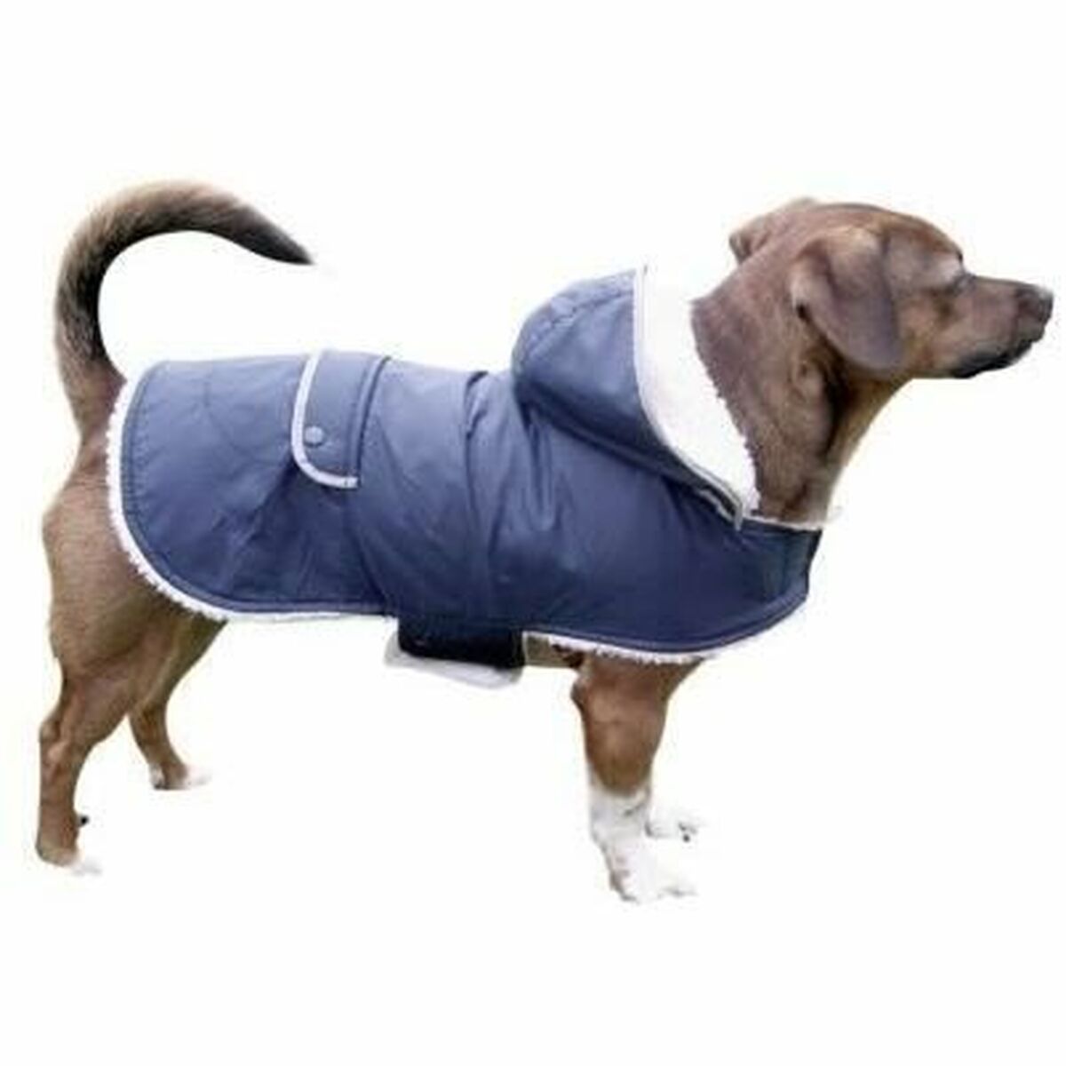 Warm Water-Resistant Dog Jacket for Outdoor Walks