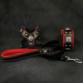 EROS Black & Red Harness, Collar & Leash Set for Small to Medium Dogs