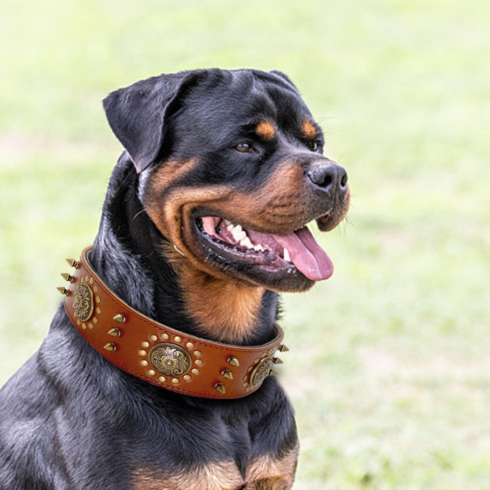 Leather Dog Collars