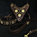 MAXIMUS Brown Harness, Collar & Leash Set for Large Dogs (Brass Accents)