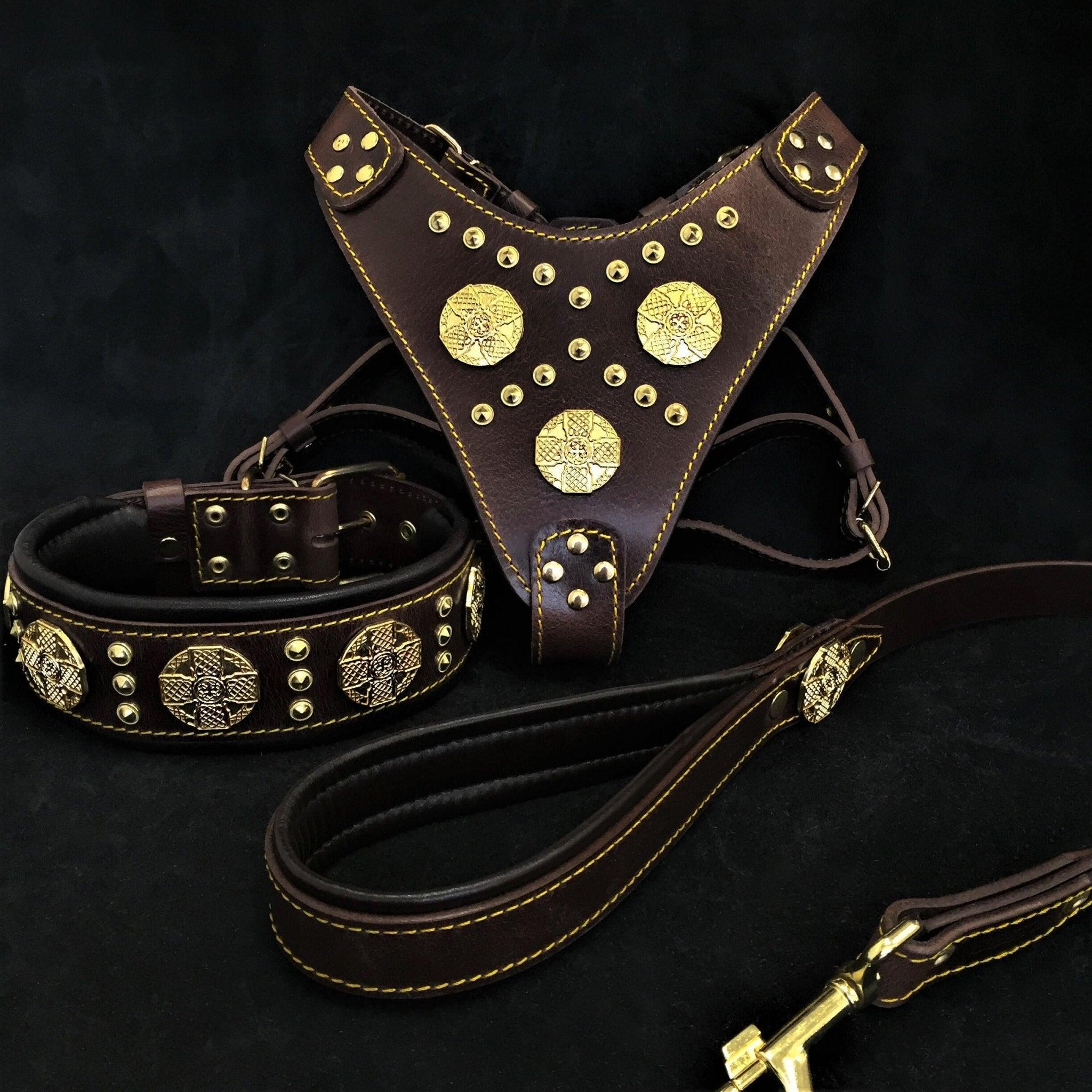 MAXIMUS Brown Harness, Collar & Leash Set for Large Dogs (Brass Accents)