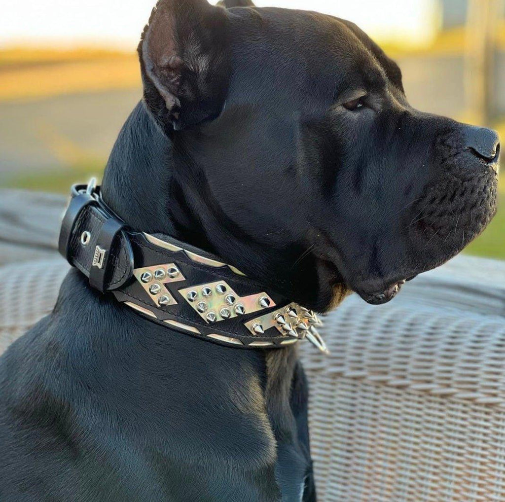 MIDAS Silver Edition Comfort Collar for Powerful Dogs - PAWLYON®