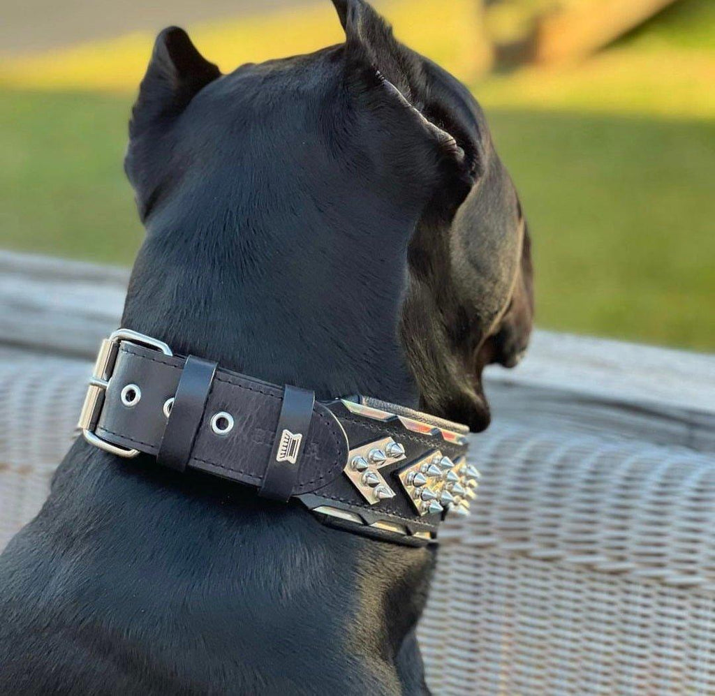 MIDAS Silver Edition Comfort Collar for Powerful Dogs - PAWLYON®